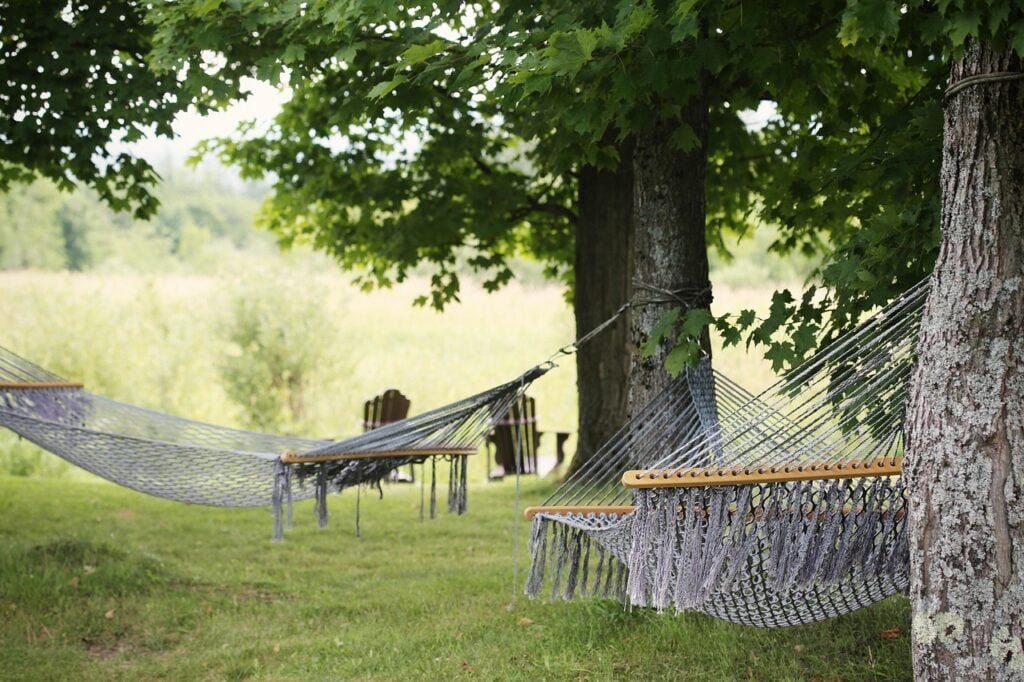 tree, hammocks, sleep from massage therapy